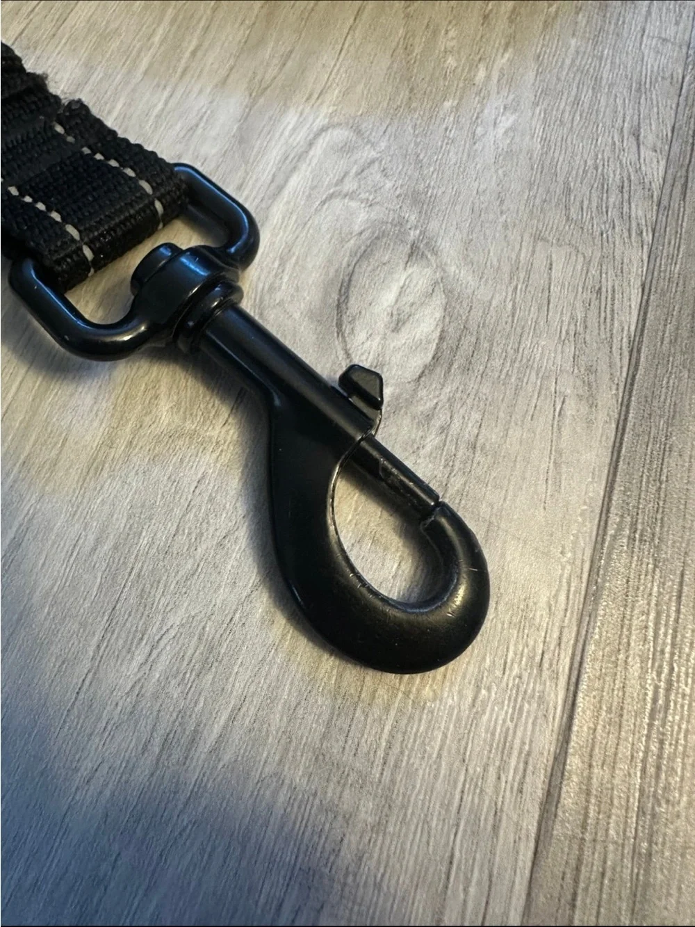Black Reflective Bungee Leash